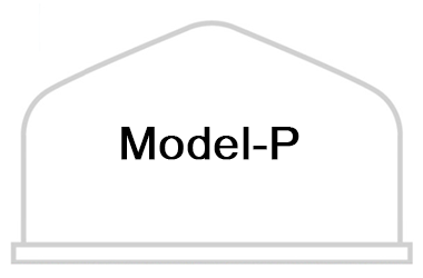 Model-P
